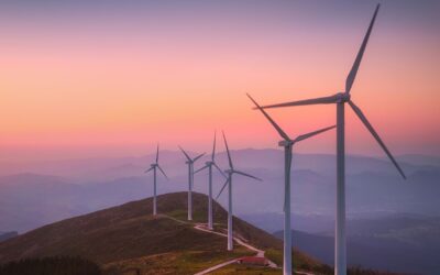 VERDES EQUO FELICITA A MEDIO AMBIENTE