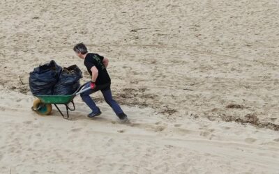 erradicación de la uña de gato en la playa de Marzán