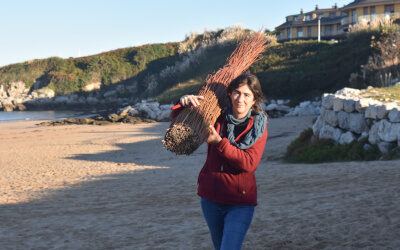 Se retiran más de 50 sacas de la planta invasora Onagra de  las dunas de Marzán