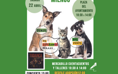 Encuentro canino-felino en Miengo