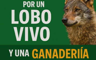 Verdes Equo Cantabria aúlla por un lobo vivo y una ganadería extensiva viva