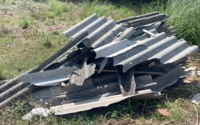 Ecologistas en Acción y Verdes Equo solicitan información ambiental sobre el proyecto del vertedero de amianto