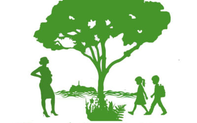 Asamblea ciudadana Santander Saludable